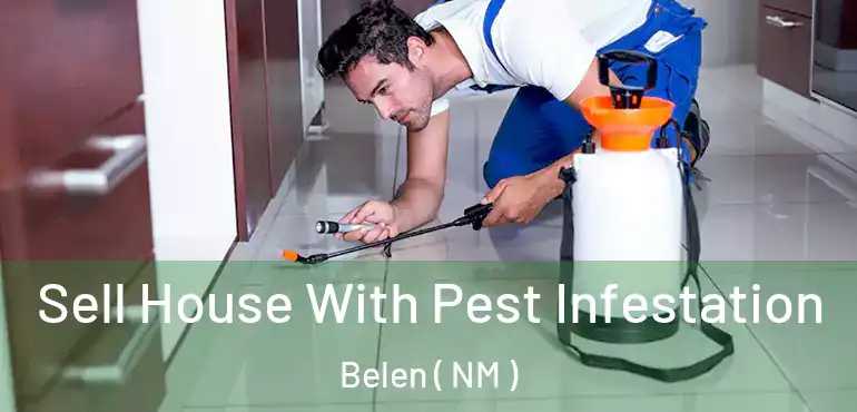  Sell House With Pest Infestation Belen ( NM )