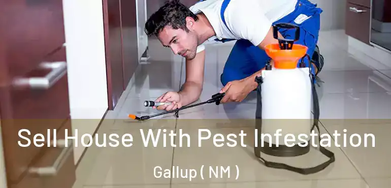  Sell House With Pest Infestation Gallup ( NM )