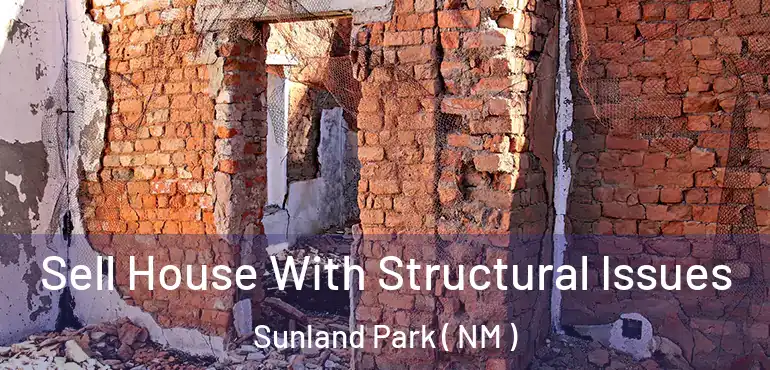  Sell House With Structural Issues Sunland Park ( NM )