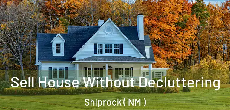  Sell House Without Decluttering Shiprock ( NM )