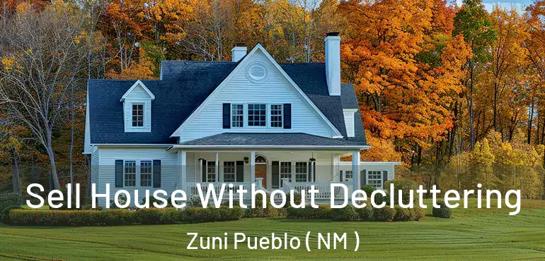  Sell House Without Decluttering Zuni Pueblo ( NM )