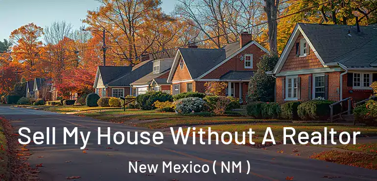 Sell My House Without A Realtor New Mexico ( NM )