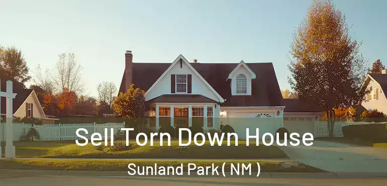  Sell Torn Down House Sunland Park ( NM )