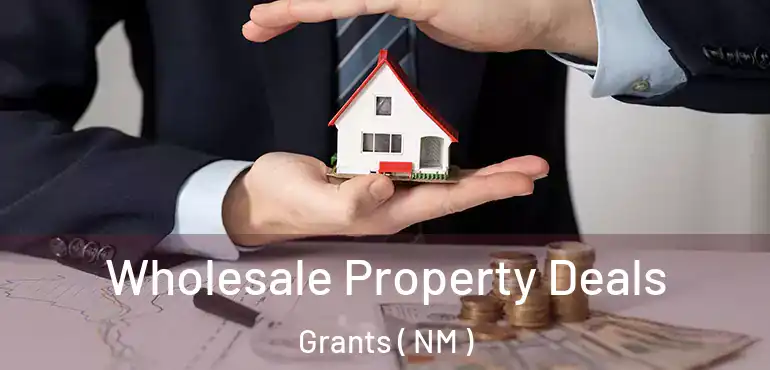  Wholesale Property Deals Grants ( NM )