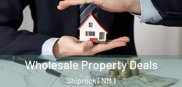  Wholesale Property Deals Shiprock ( NM )